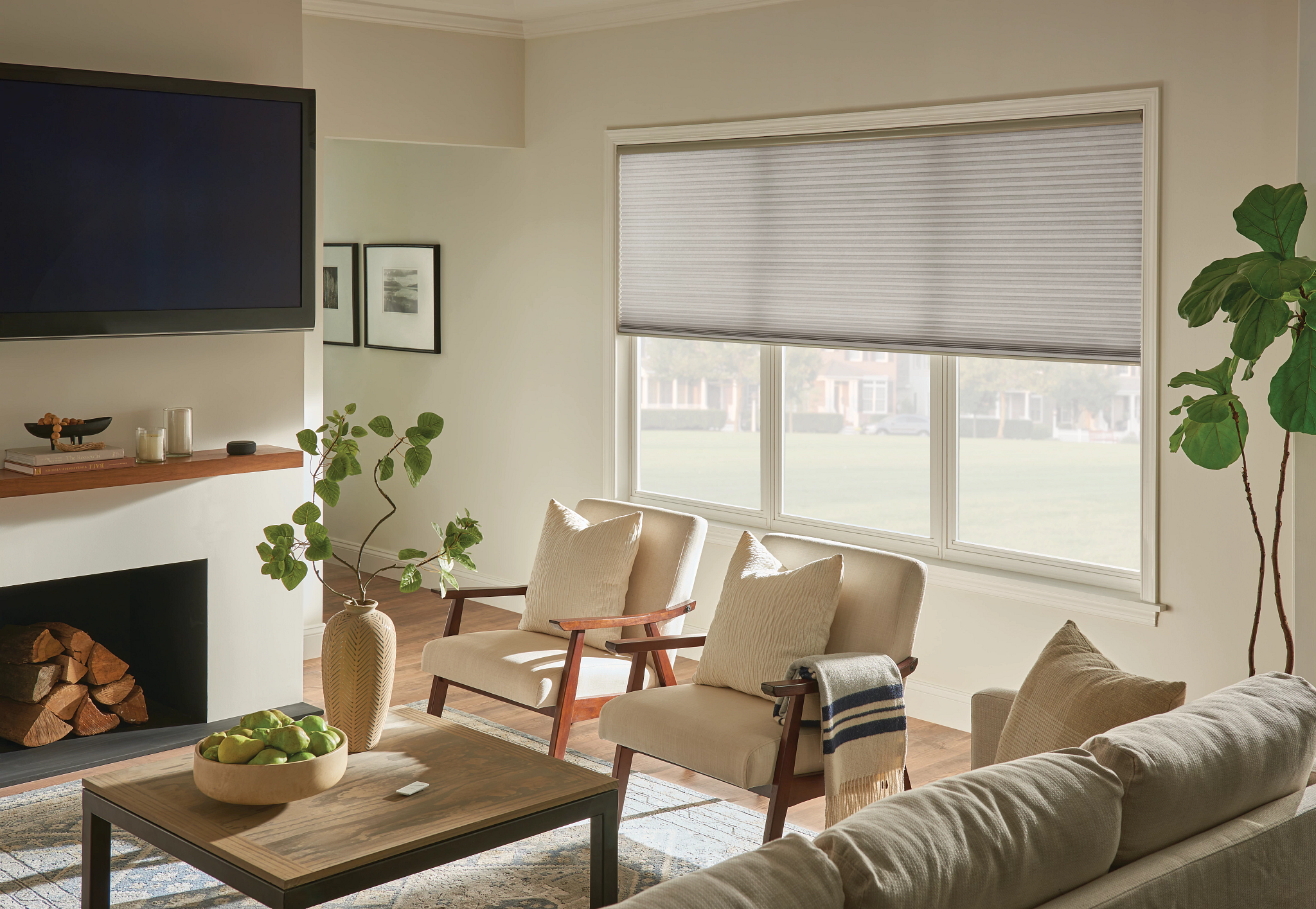 Motorized Shades